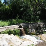 PB061674 1 - Diario Resumen de la región