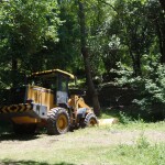 PB061675 1 - Diario Resumen de la región