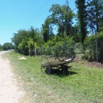 PB222067 1 - Diario Resumen de la región