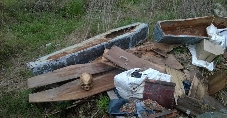 los molinos 2 1 - Diario Resumen de la región