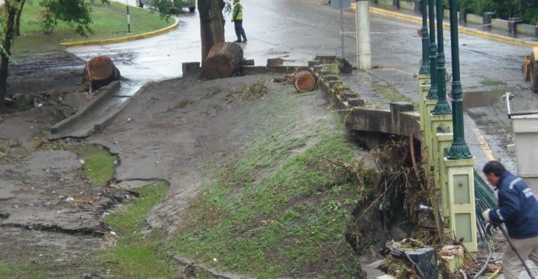 PC112419 1 - Diario Resumen de la región