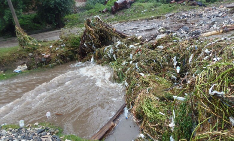 PC112443 1 - Diario Resumen de la región