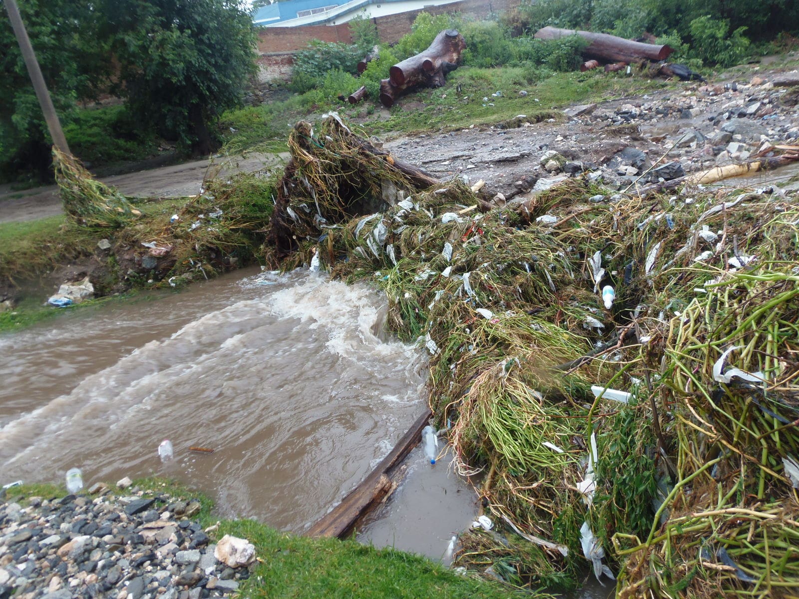 PC112443 1 - Diario Resumen de la región