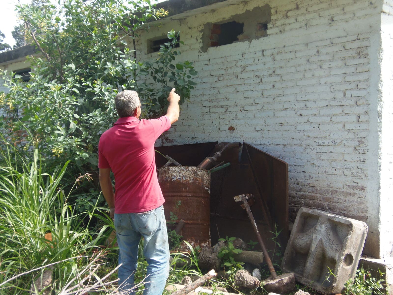 PC182476 1 - Diario Resumen de la región