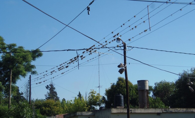 P1210001.JPGf 1 - Diario Resumen de la región