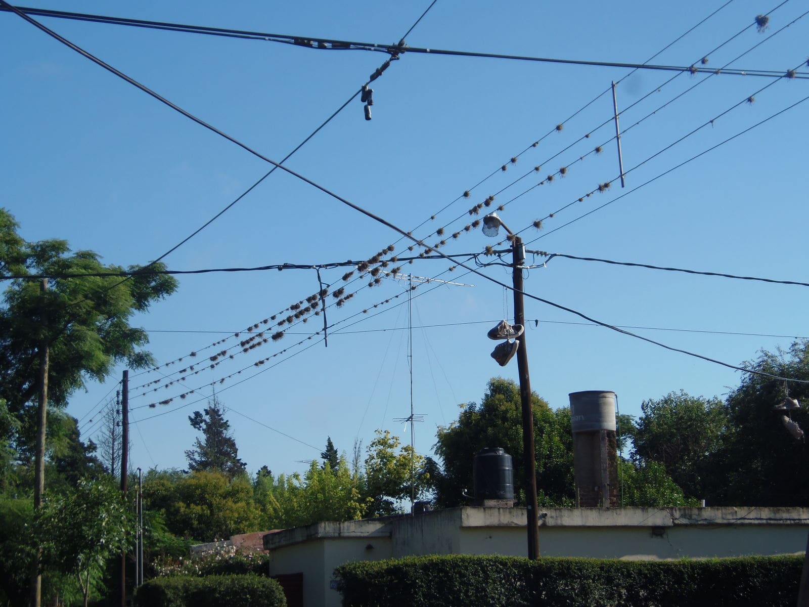 P1210001.JPGf 1 - Diario Resumen de la región