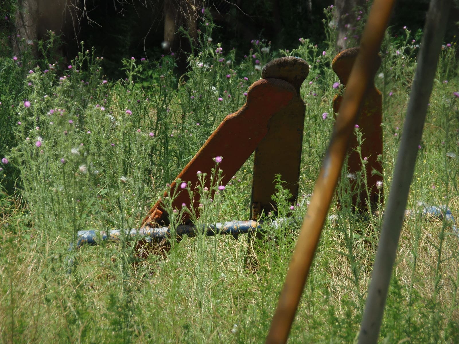 PC292717 1 - Diario Resumen de la región