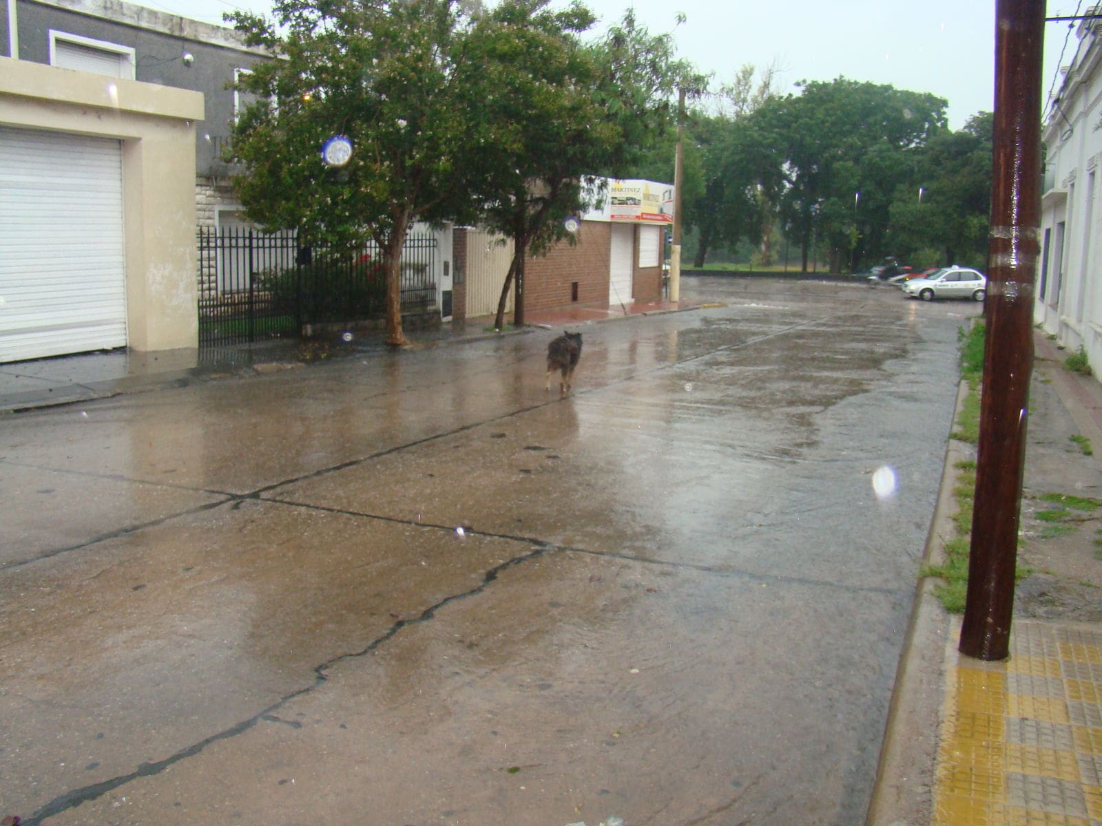 DSC03184 1 - Diario Resumen de la región