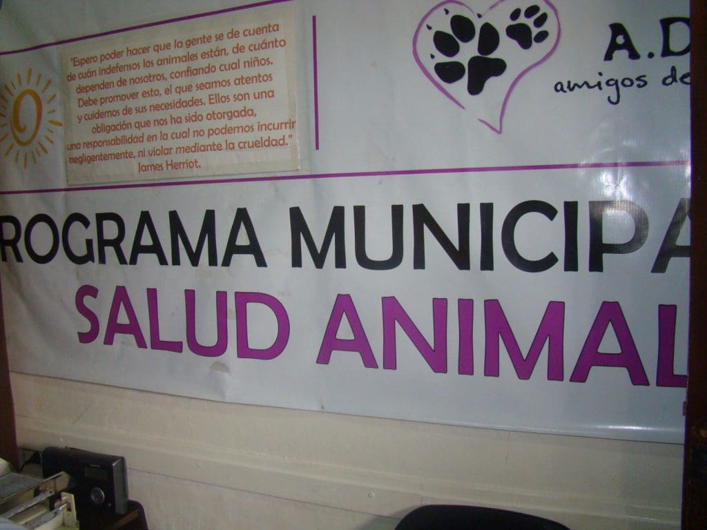 DSC03296 1 - Diario Resumen de la región
