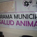 DSC03296 1 - Diario Resumen de la región