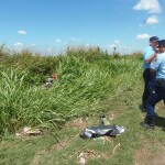 P2161025 1 - Diario Resumen de la región