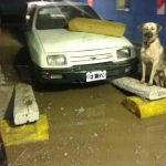 PATRICIA RAMOS 2 1 - Diario Resumen de la región