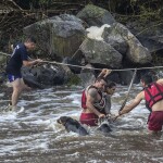 RESCATE 8 1 - Diario Resumen de la región