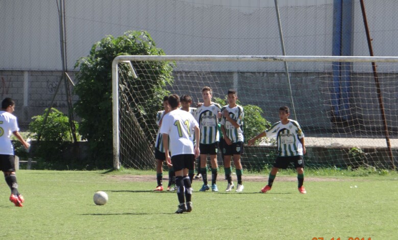 DSC03096 1 - Diario Resumen de la región