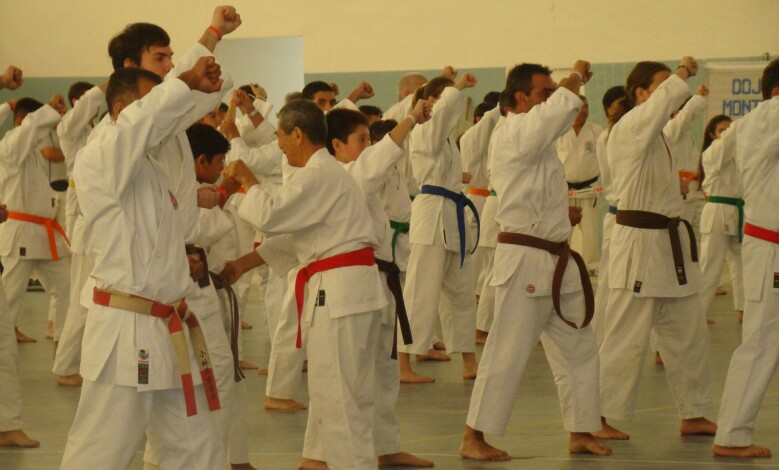 FOTO KARATE 490 1 - Diario Resumen de la región