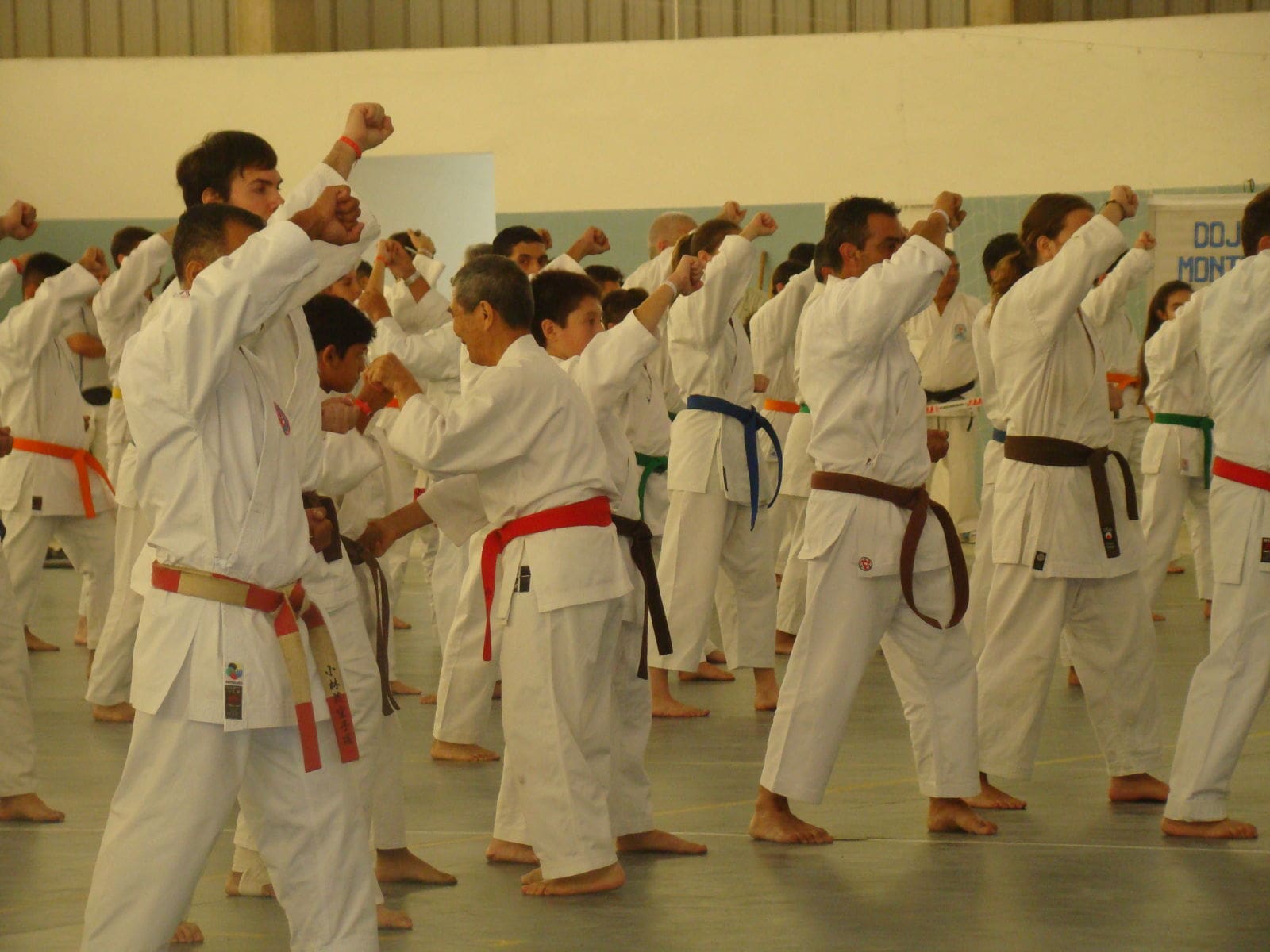 FOTO KARATE 490 1 - Diario Resumen de la región