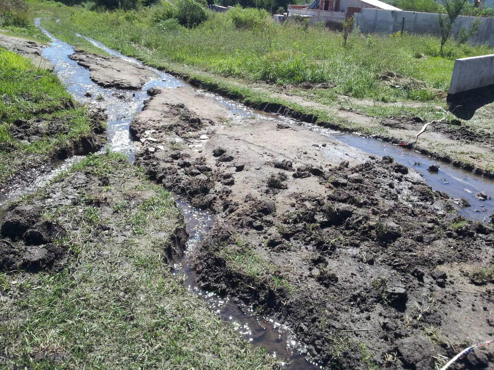20150304 114157 1 - Diario Resumen de la región