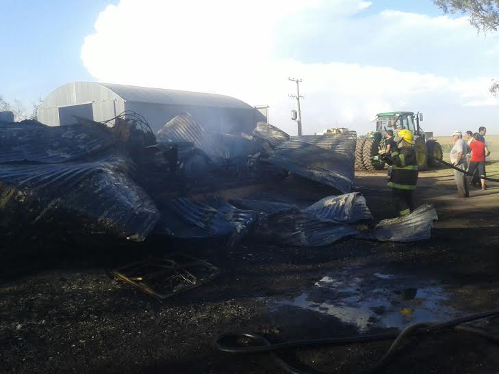 COSME 1 1 - Diario Resumen de la región