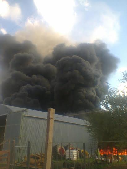 COSME 2 1 - Diario Resumen de la región