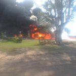 COSME 31 1 - Diario Resumen de la región