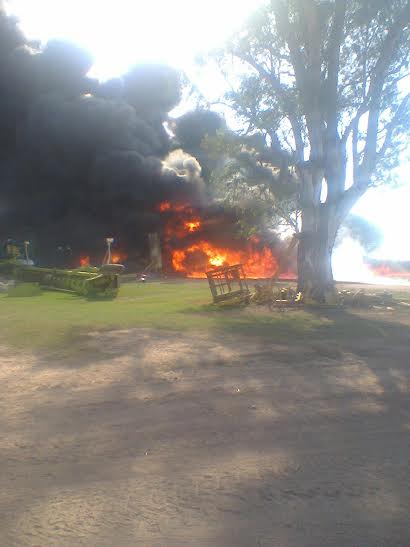 COSME 31 1 - Diario Resumen de la región