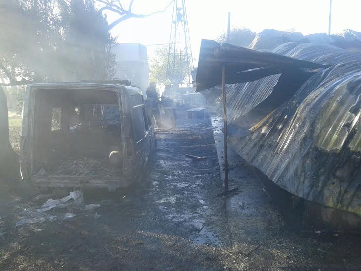 COSME 4 1 - Diario Resumen de la región