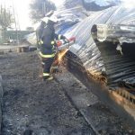 COSME 5 1 - Diario Resumen de la región