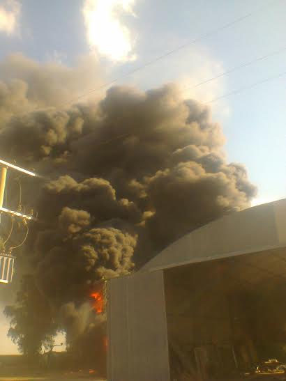 COSME 7 - Diario Resumen de la región