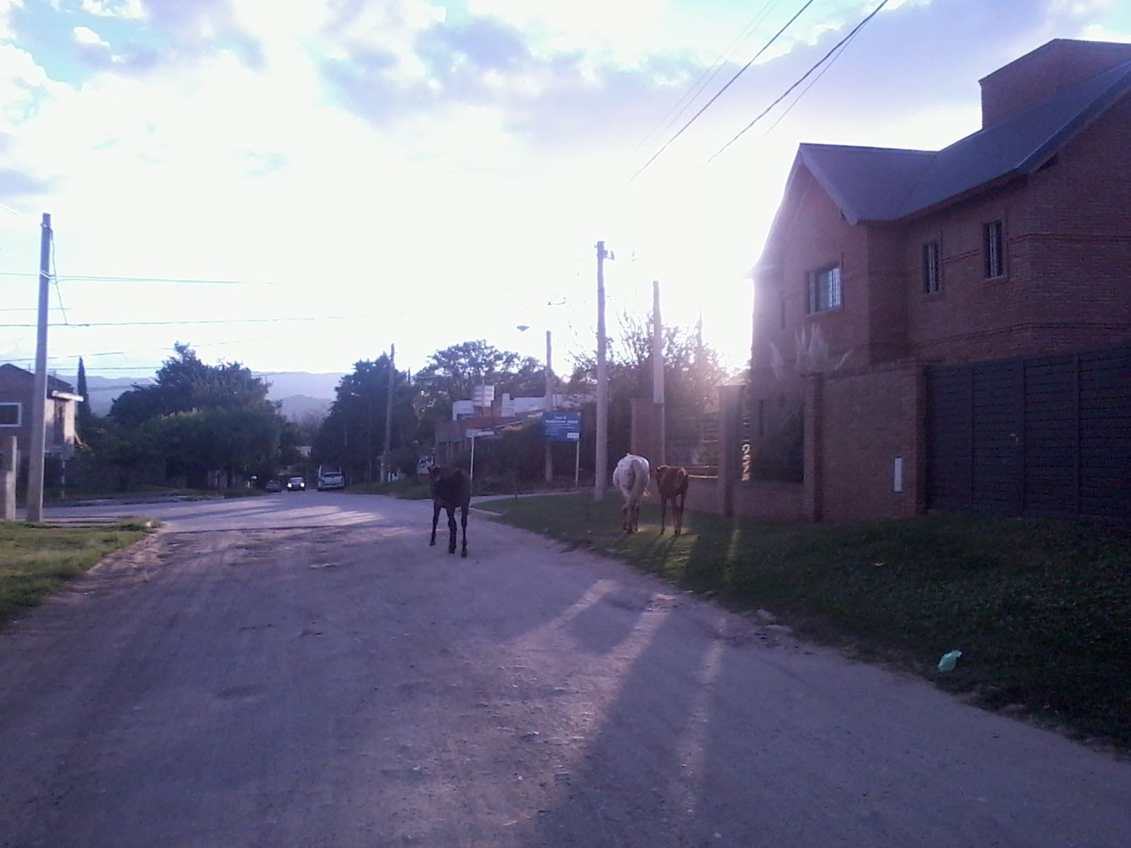 Foto1376 1 - Diario Resumen de la región