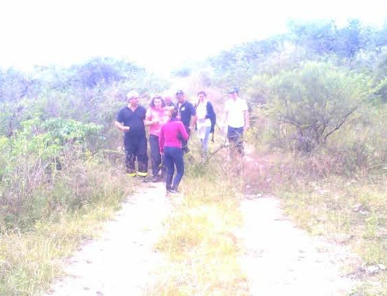 HALLAZGO UNO 1 - Diario Resumen de la región