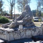 P40203011 1 - Diario Resumen de la región