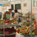 P4030340 1 - Diario Resumen de la región