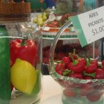 P4030341 1 - Diario Resumen de la región