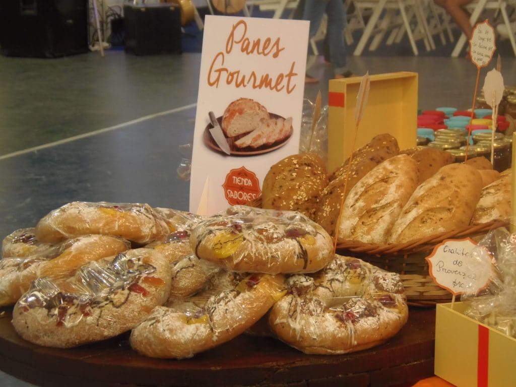 P4030348 1 - Diario Resumen de la región