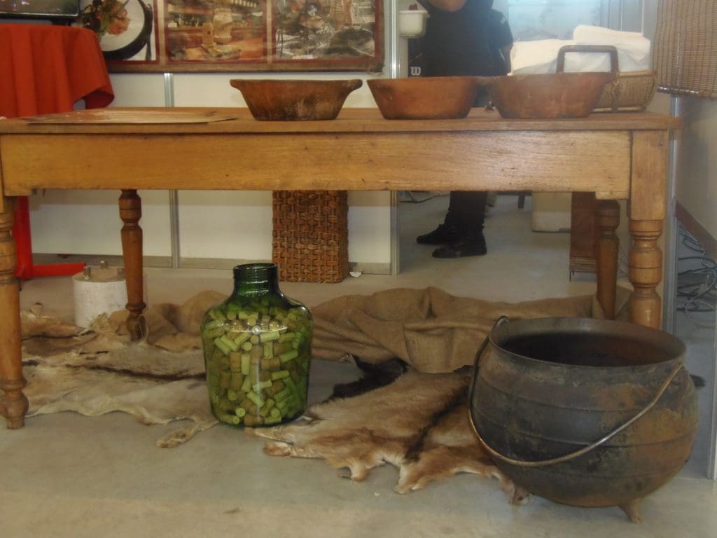 P4030350 1 - Diario Resumen de la región