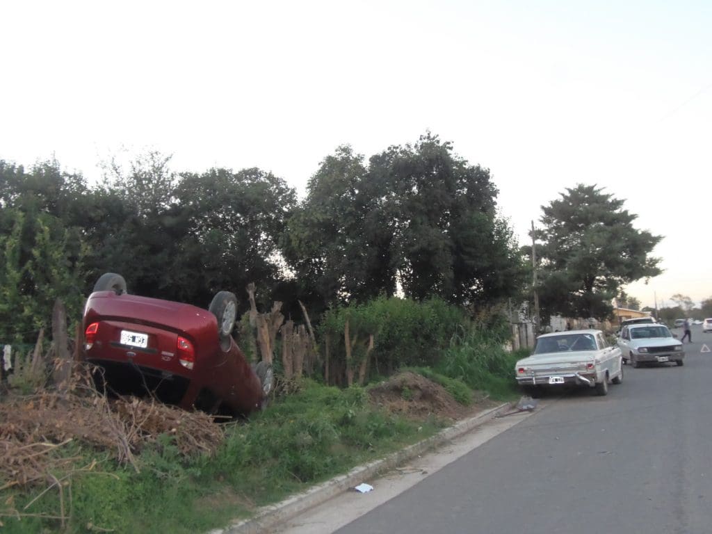 P4260905 1 - Diario Resumen de la región