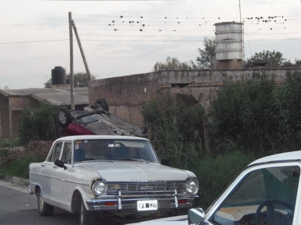 P4260921 1 - Diario Resumen de la región