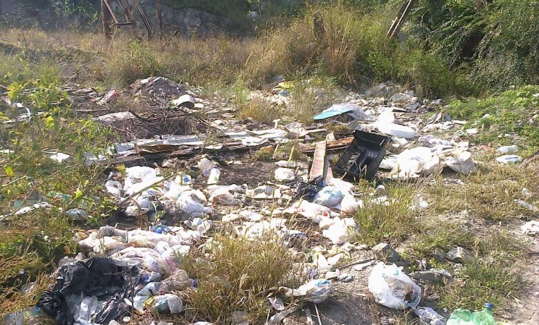 basura1 1 - Diario Resumen de la región