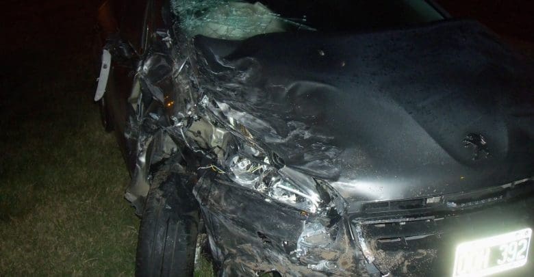 100 4172 1 - Diario Resumen de la región