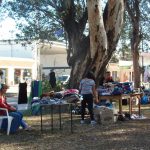 P4250767 1 - Diario Resumen de la región