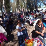 P4250784 1 - Diario Resumen de la región