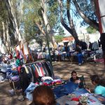 P4250793 1 - Diario Resumen de la región