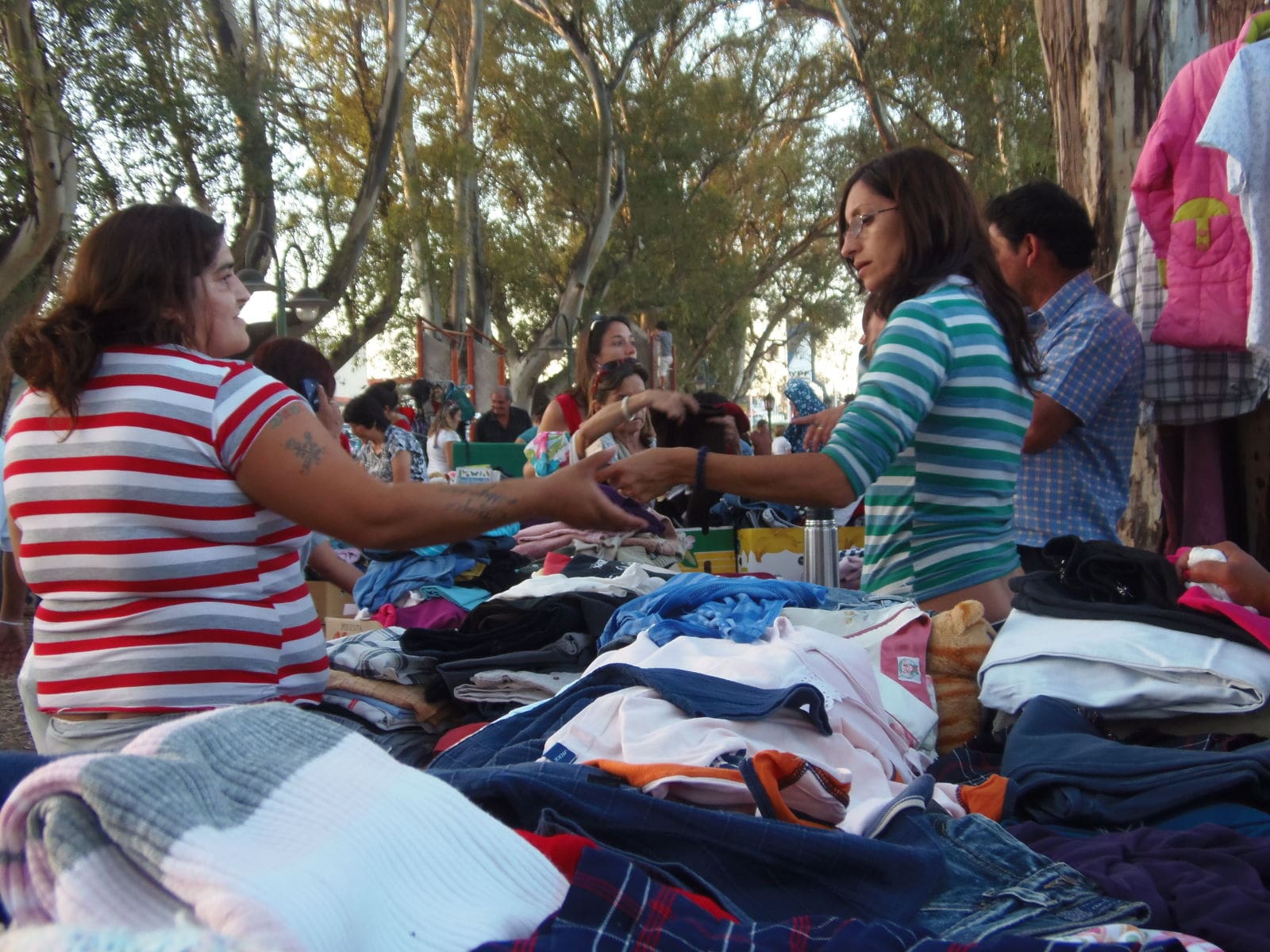 P4250831 1 - Diario Resumen de la región