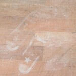 P5121214 1 - Diario Resumen de la región