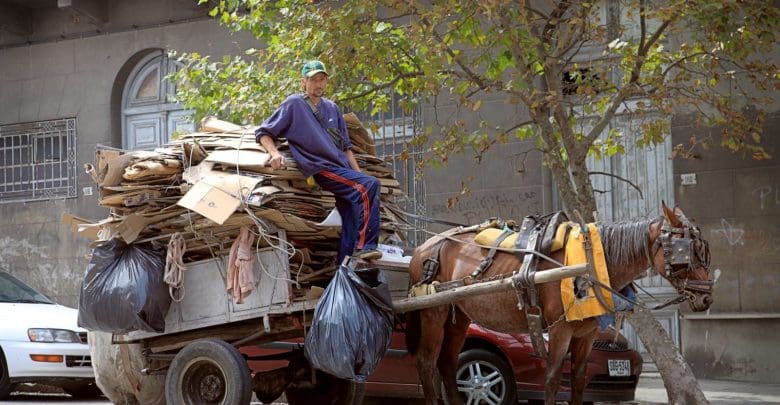 carreros 03 1 - Diario Resumen de la región