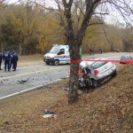 DSC05749 1 - Diario Resumen de la región