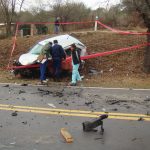 DSC05755 1 - Diario Resumen de la región