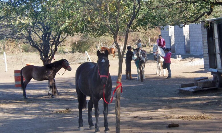 P6162187 1 1 - Diario Resumen de la región