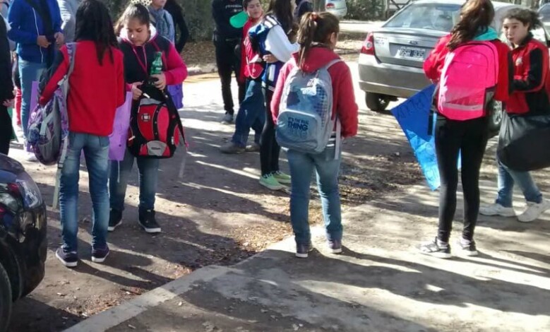 MANIFESTACION ANISACATE - Diario Resumen de la región