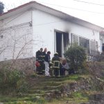 P71226081 - Diario Resumen de la región